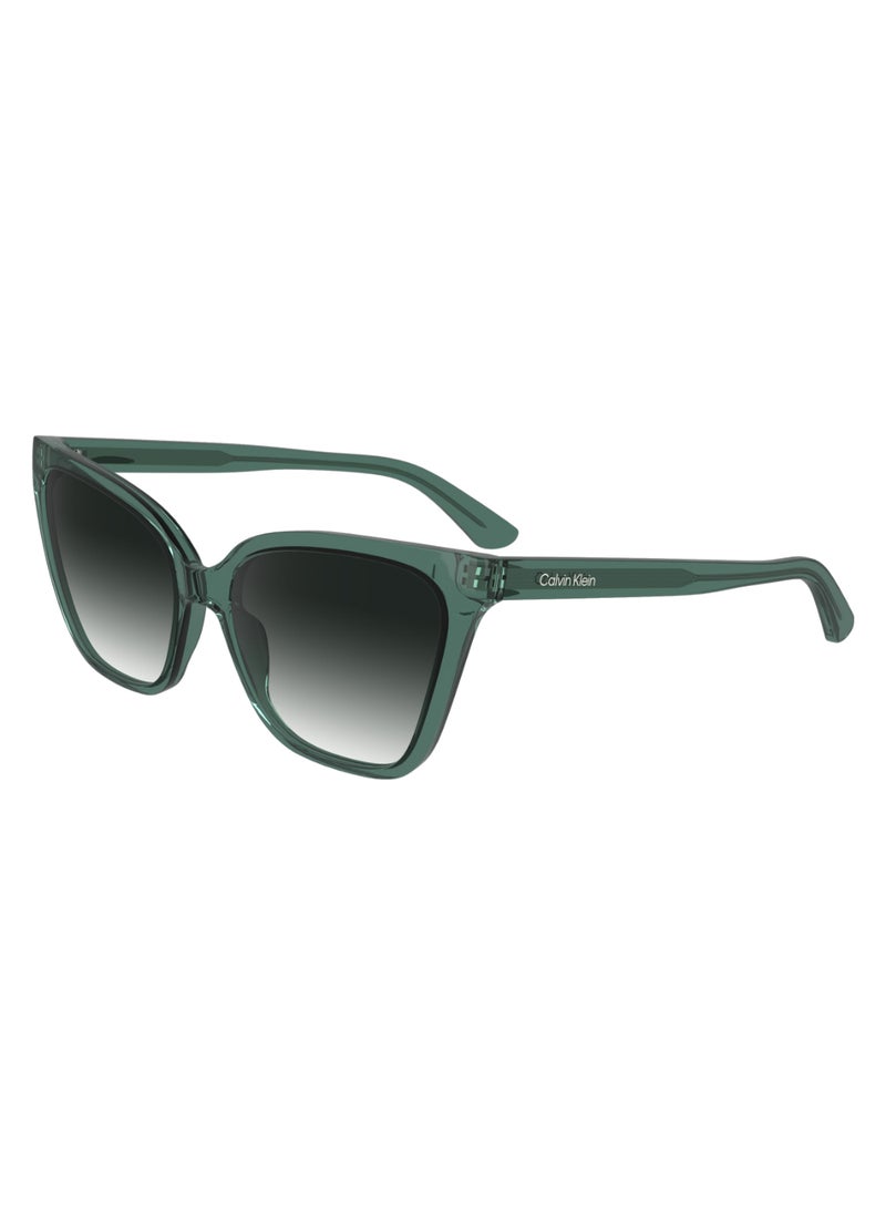 CALVIN KLEIN FULL RIM BIO INJ-G820 CAT EYE CALVIN KLEIN SUN CK24507S  5717 (338) MINT  - Image 2