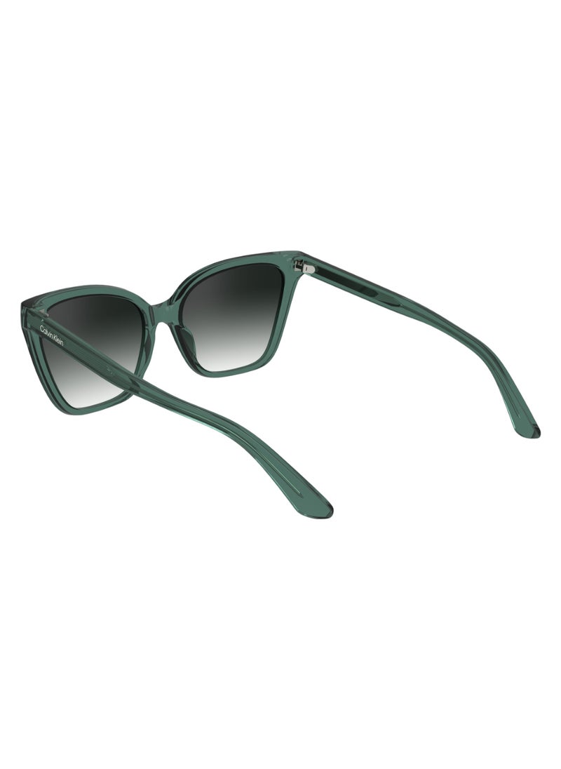 CALVIN KLEIN FULL RIM BIO INJ-G820 CAT EYE CALVIN KLEIN SUN CK24507S  5717 (338) MINT  - Image 5