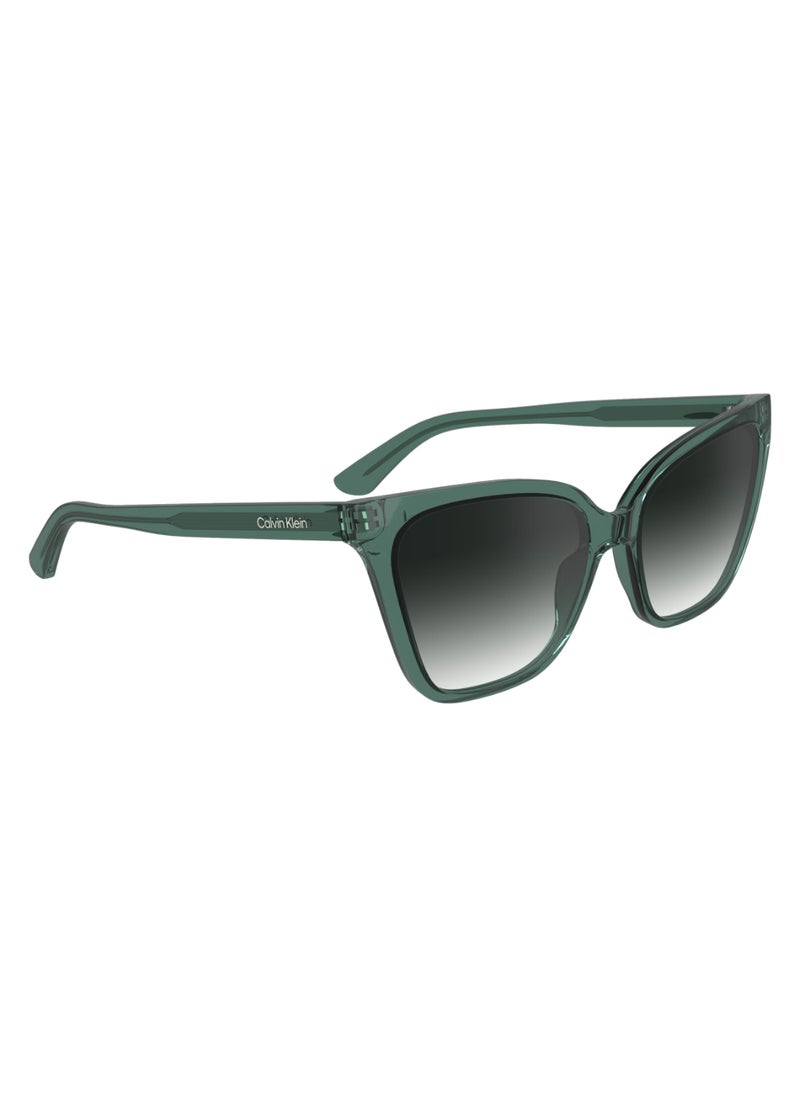 CALVIN KLEIN FULL RIM BIO INJ-G820 CAT EYE CALVIN KLEIN SUN CK24507S  5717 (338) MINT  - Image 3