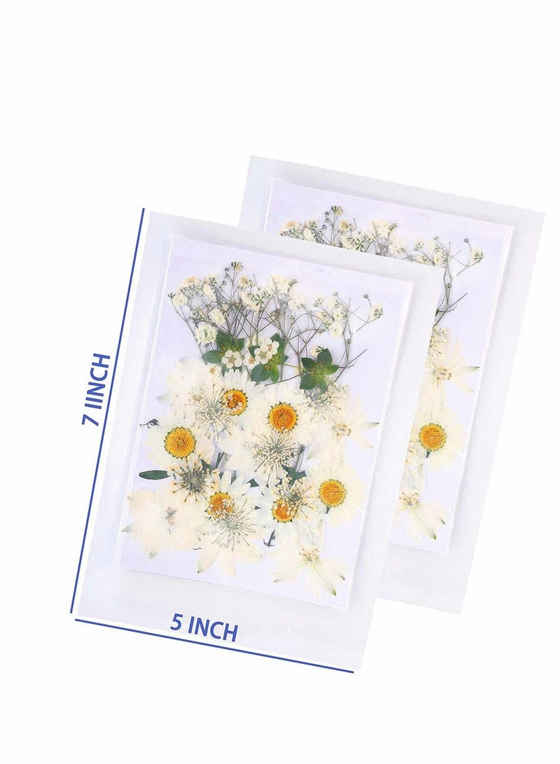 72 PCS Real Dried Pressed Flowers, Art Natural Dried Flower Leaf Plant Herbarium for Making Jewelry Nail Scrapbooking DIY Candle Decoration Resin Jewelry... - Image 3