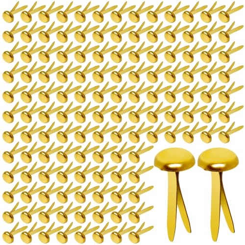 Hapy Shop Paper Brass Fasteners, 3/4-Inch Metal Brass Brads Round Brads for Paper Crafts Making DIY, 300 Pack - Image 1