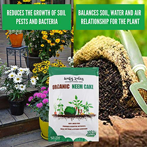 Leafy Tales Organic Neem Cake Powder for Plants 1kg - 100% Natural Neem Khali Fertilizer & Pest Repellent | Soil Conditioner & Growth Booster for Indoor and Outdoor Home Garden - Image 3