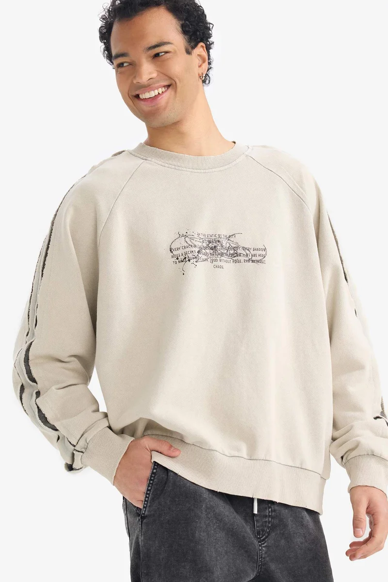 DeFacto Boxy Fit Long Sleeve Sweatshirt