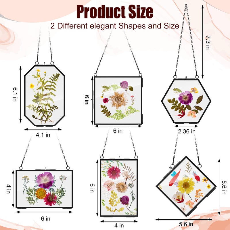 Soaoo 12 Pcs Brass Glass Frame for Pressed Flowers with Chain Clear Double Glass Floating Artwork Display Frame for Wall Decor with Dried Plant Leaf, 6 Shapes(Black) - Image 2