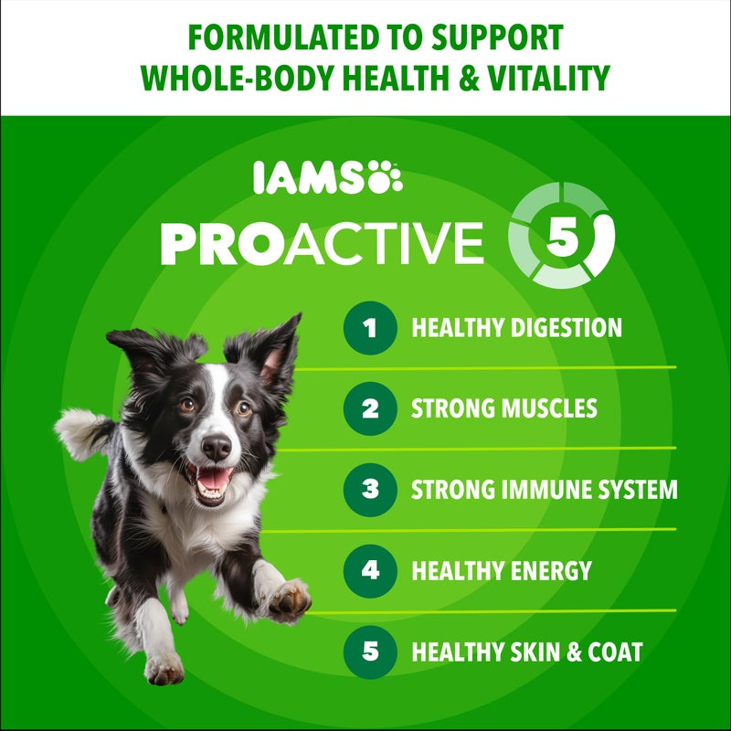 IAMS Proactive Health Minichunks Premium Dry Dog Food, Adult Dog Food Dry Recipe, 15 lb. Bag - Image 2