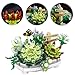 YONGJULE Succulent Building Toys for Adults Bonsai Botanical Collection Toy Building Sets Plants and Flowers DIY Home Decoration Gift for Valentines Day Women Kids Not Compatible with Lego - Image 4