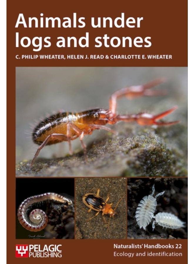 Animals under logs and stones : 22 