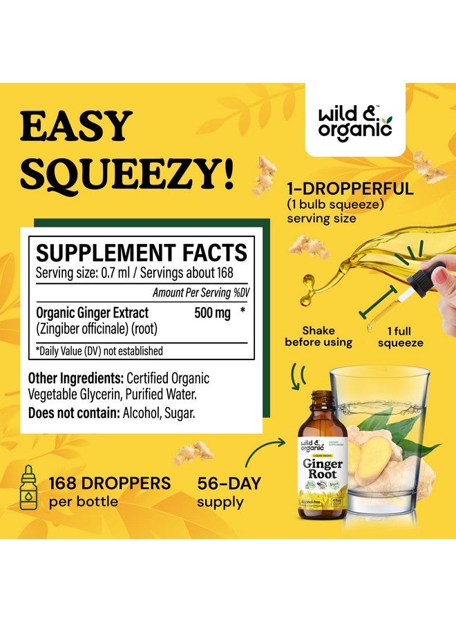 Wild & Organic مستخلص جذور الزنجبيل البري والعضوي - دعم المناعة والهضم - مكملات الزنجبيل السائلة - صبغة نباتية خالية من السكر والكحول - 4 أونصة سائلة - Image 3