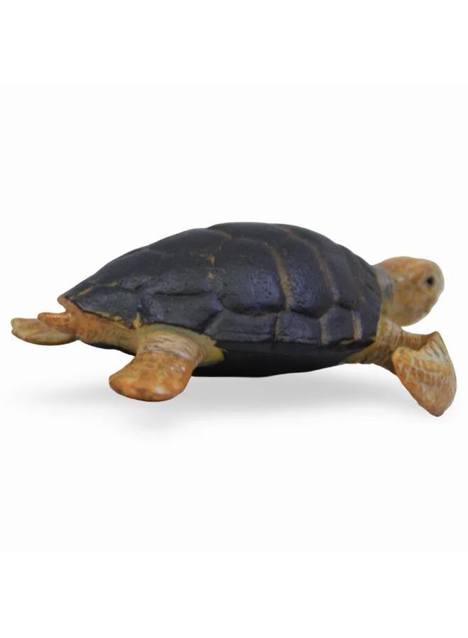 CollectA Loggerhead Turtle Figurine - Image 2