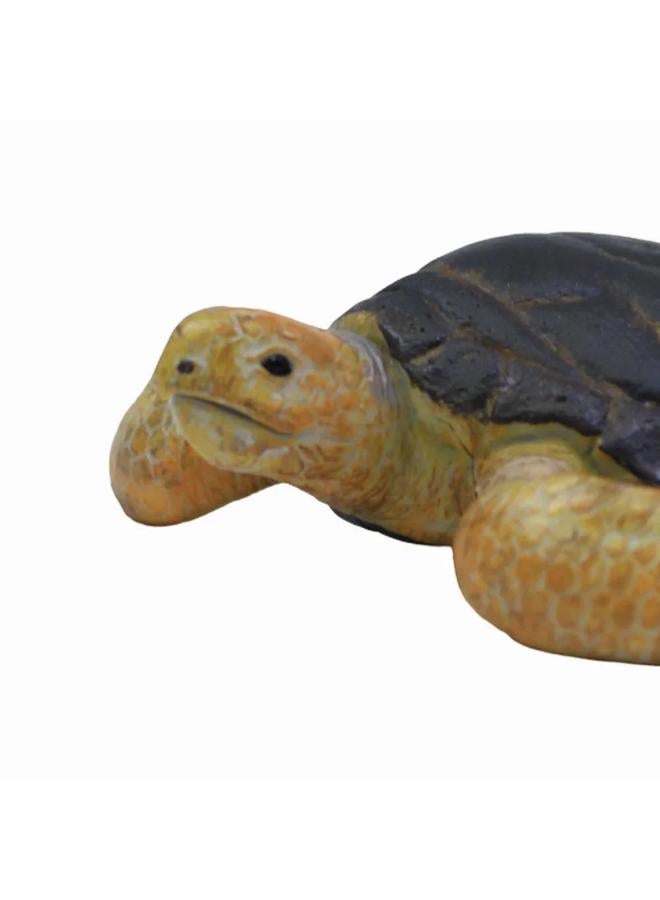 CollectA Loggerhead Turtle Figurine - Image 3