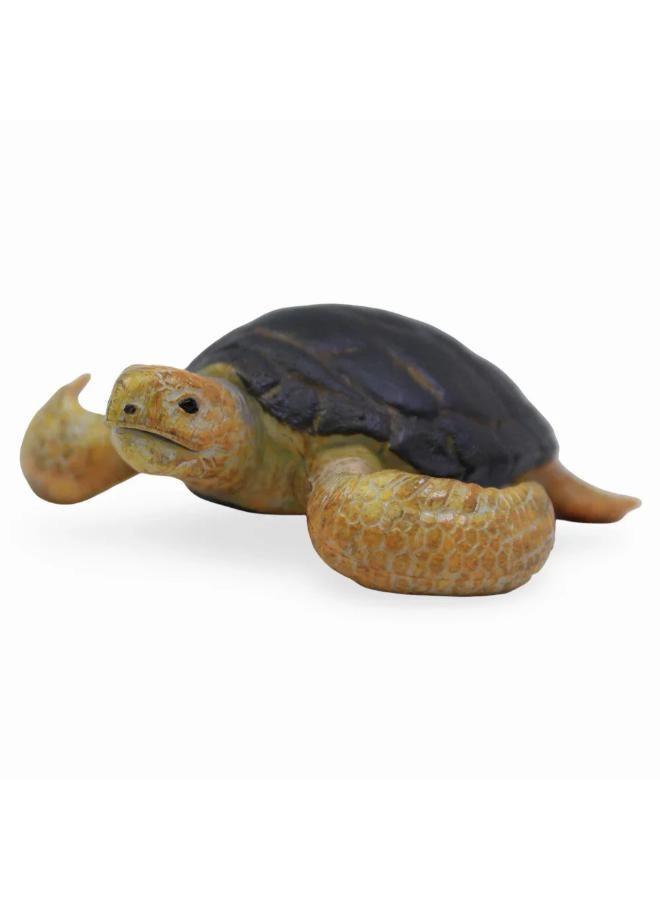 CollectA Loggerhead Turtle Figurine - Image 1