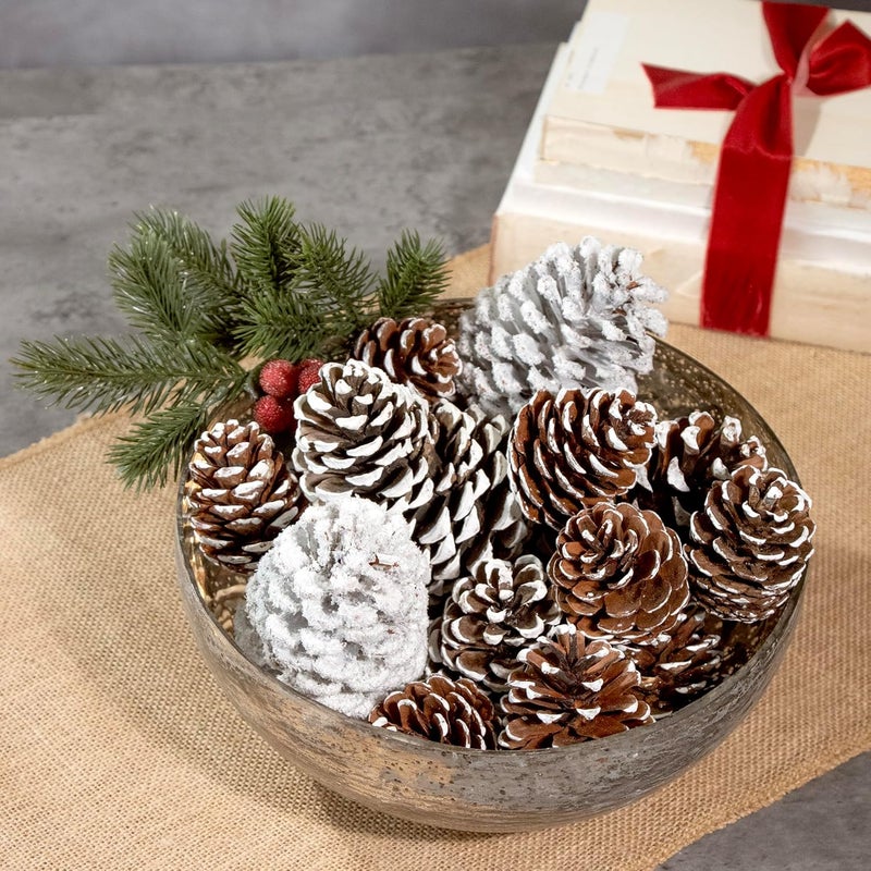 ANDALUCA Decorative Pinecone Vase & Bowl Fillers (Frosted Pine) - Image 3