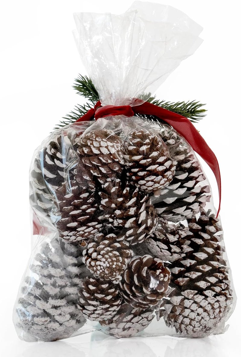 ANDALUCA Decorative Pinecone Vase & Bowl Fillers (Frosted Pine) - Image 2