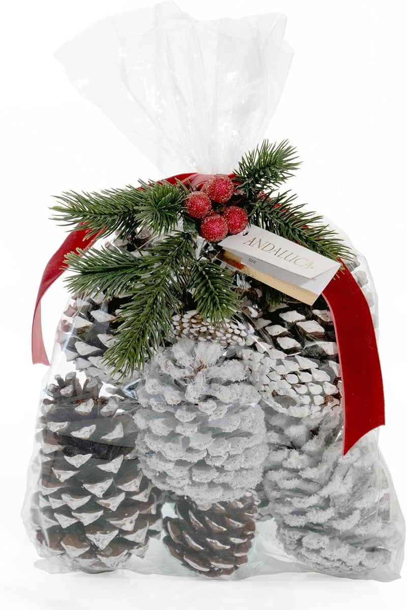ANDALUCA Decorative Pinecone Vase & Bowl Fillers (Frosted Pine) - Image 1