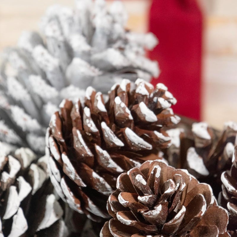 ANDALUCA Decorative Pinecone Vase & Bowl Fillers (Frosted Pine) - Image 5
