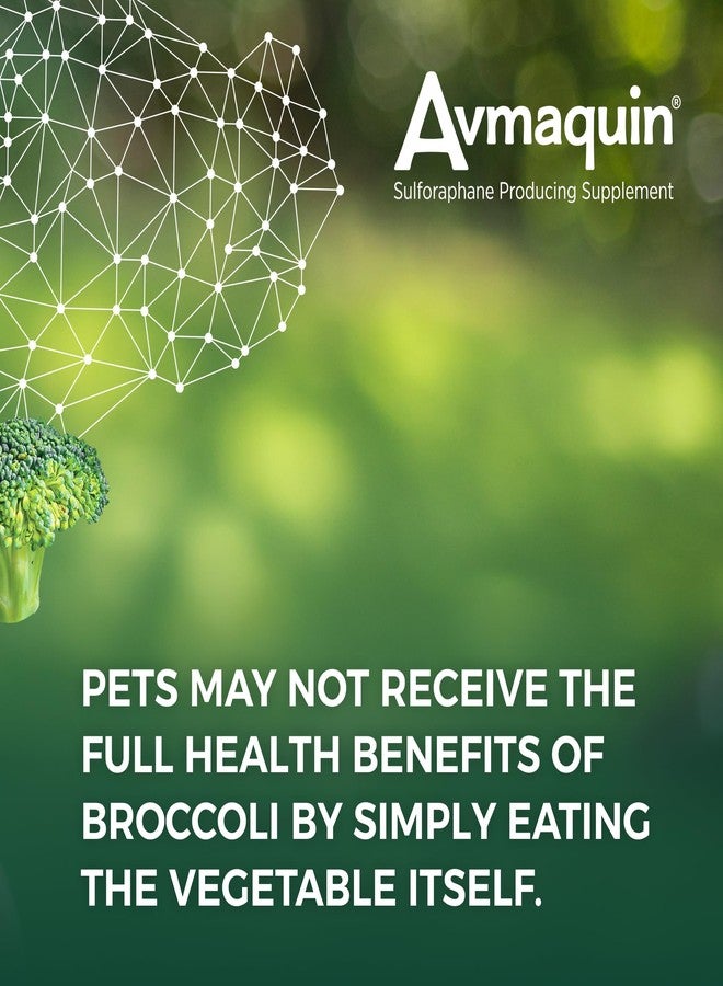 Nutramax Laboratories Nutramax Avmaquin Sulforaphane Producing Supplement for Dogs, 45 Tablets - Image 4
