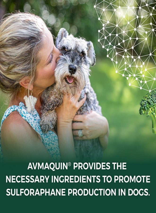 Nutramax Laboratories Nutramax Avmaquin Sulforaphane Producing Supplement for Dogs, 45 Tablets - Image 3
