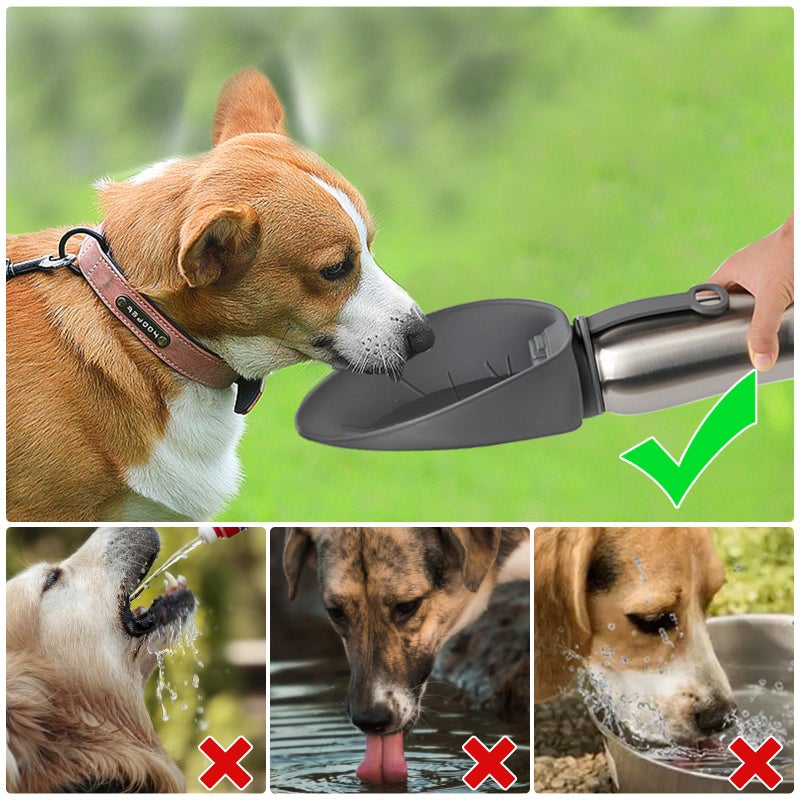 URPOWER 27 Oz Large Dog Water Bottle, Double Wall Insulated Stainless Steel Dog Travel Water Bottle Leak Proof Portable Pet Water Dispenser BPA-Free Drinking Bowl for Dog Outdoor Walking, Hiking - Image 2