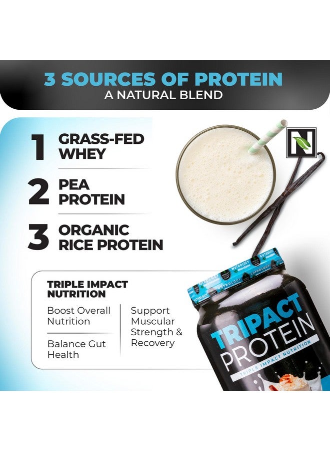 نوترولوجي مسحوق بروتين Nutrology TRIPACT، بنكهة لاتيه الفانيليا والقرفة، مشروب بديل للوجبات 7 في 1 مع مسحوق بروتين مصل اللبن من الأبقار التي تتغذى على العشب، ومسحوق بروتين البازلاء، والخضراوات، والبروبيوتيك، والأحماض الأمينية المتفرعة السلسلة، 40 وجبة - Image 5