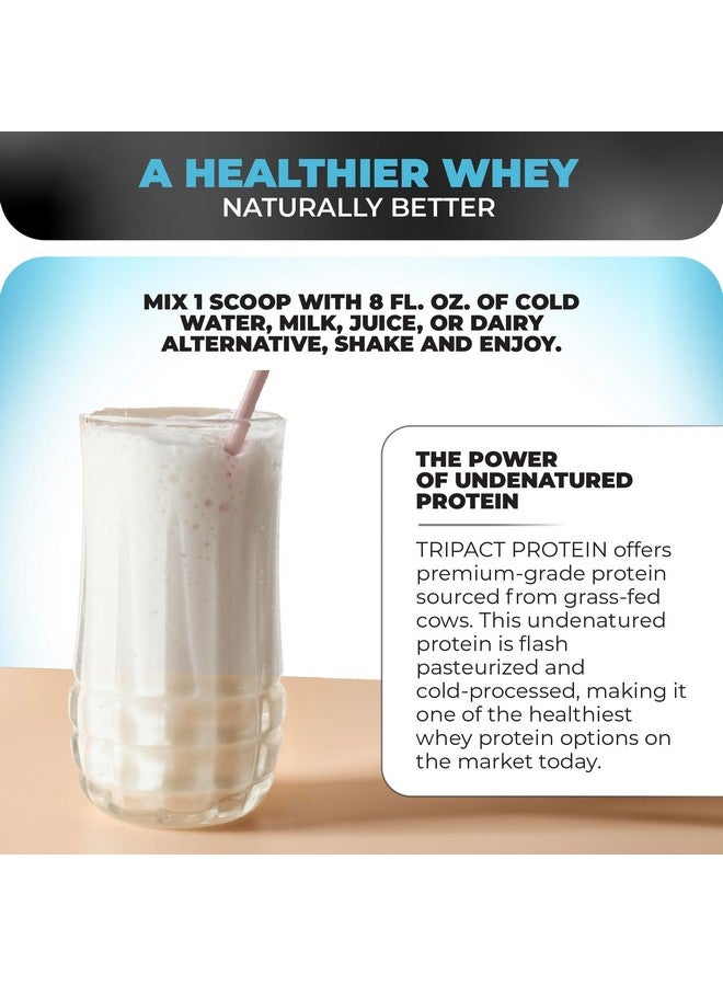 نوترولوجي مسحوق بروتين Nutrology TRIPACT، بنكهة لاتيه الفانيليا والقرفة، مشروب بديل للوجبات 7 في 1 مع مسحوق بروتين مصل اللبن من الأبقار التي تتغذى على العشب، ومسحوق بروتين البازلاء، والخضراوات، والبروبيوتيك، والأحماض الأمينية المتفرعة السلسلة، 40 وجبة - Image 4