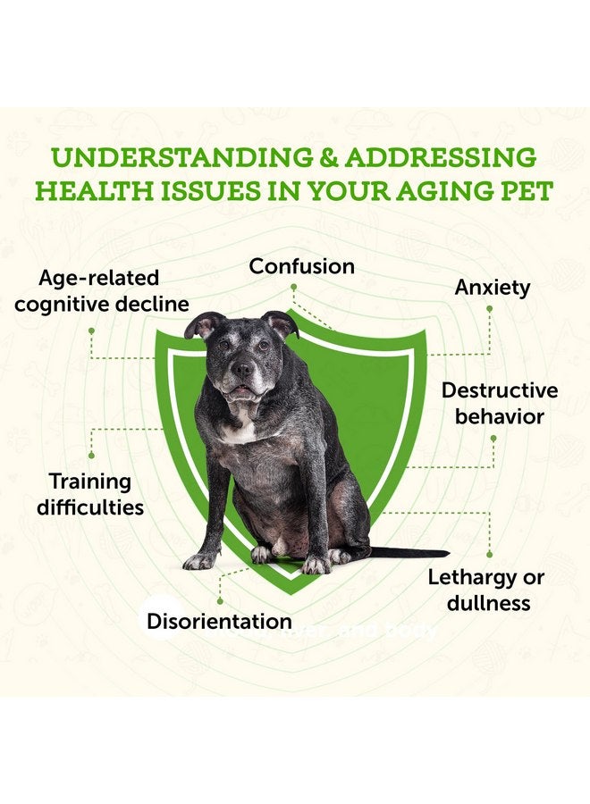 Animal Essentials Brain Awake for Dogs & Cats - Cognitive Support Supplement, Senior Support, Lion's Mane, Brain Health, Herbal Formula - 1 Fl Oz - Image 4