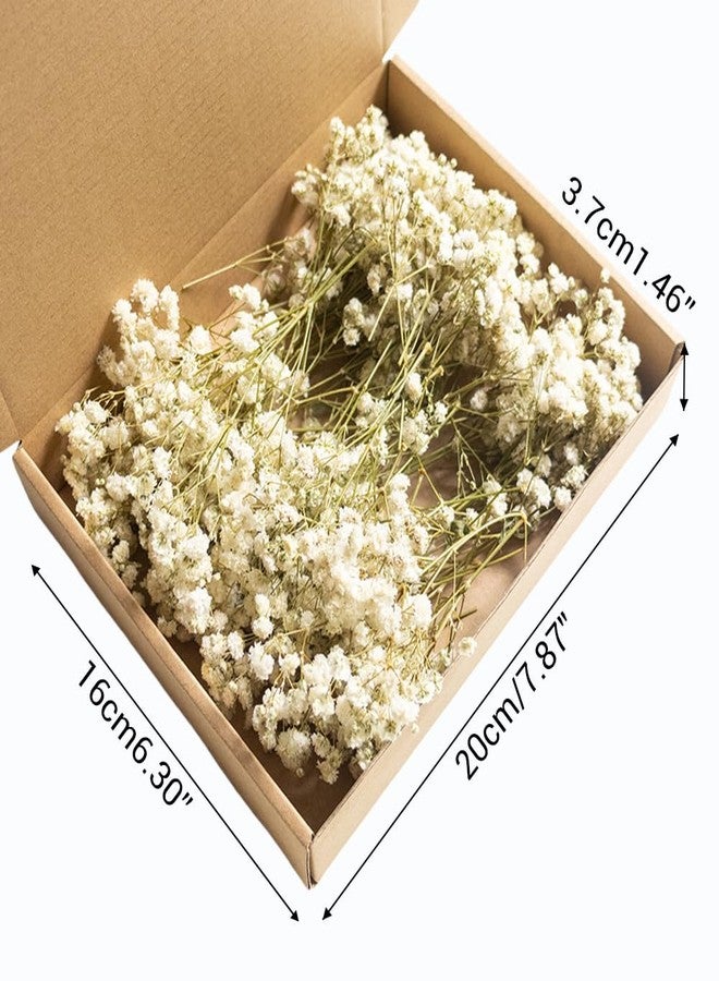 DONGKER Breath Dry Flowers,100 PCS White Breath Dried Pressed Flowers for Christmas Hair Decor Wedding Invitation Bookmark Candle DIY Making - Image 4