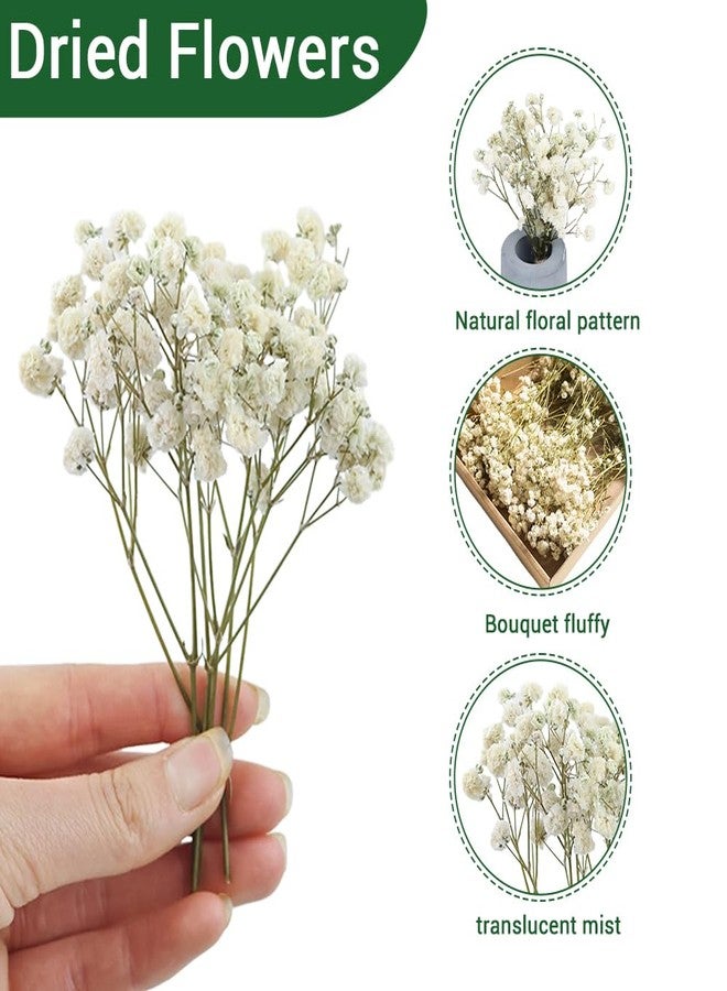 DONGKER Breath Dry Flowers,100 PCS White Breath Dried Pressed Flowers for Christmas Hair Decor Wedding Invitation Bookmark Candle DIY Making - Image 2