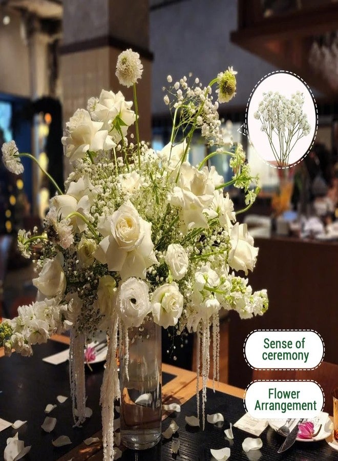 DONGKER Breath Dry Flowers,100 PCS White Breath Dried Pressed Flowers for Christmas Hair Decor Wedding Invitation Bookmark Candle DIY Making - Image 3