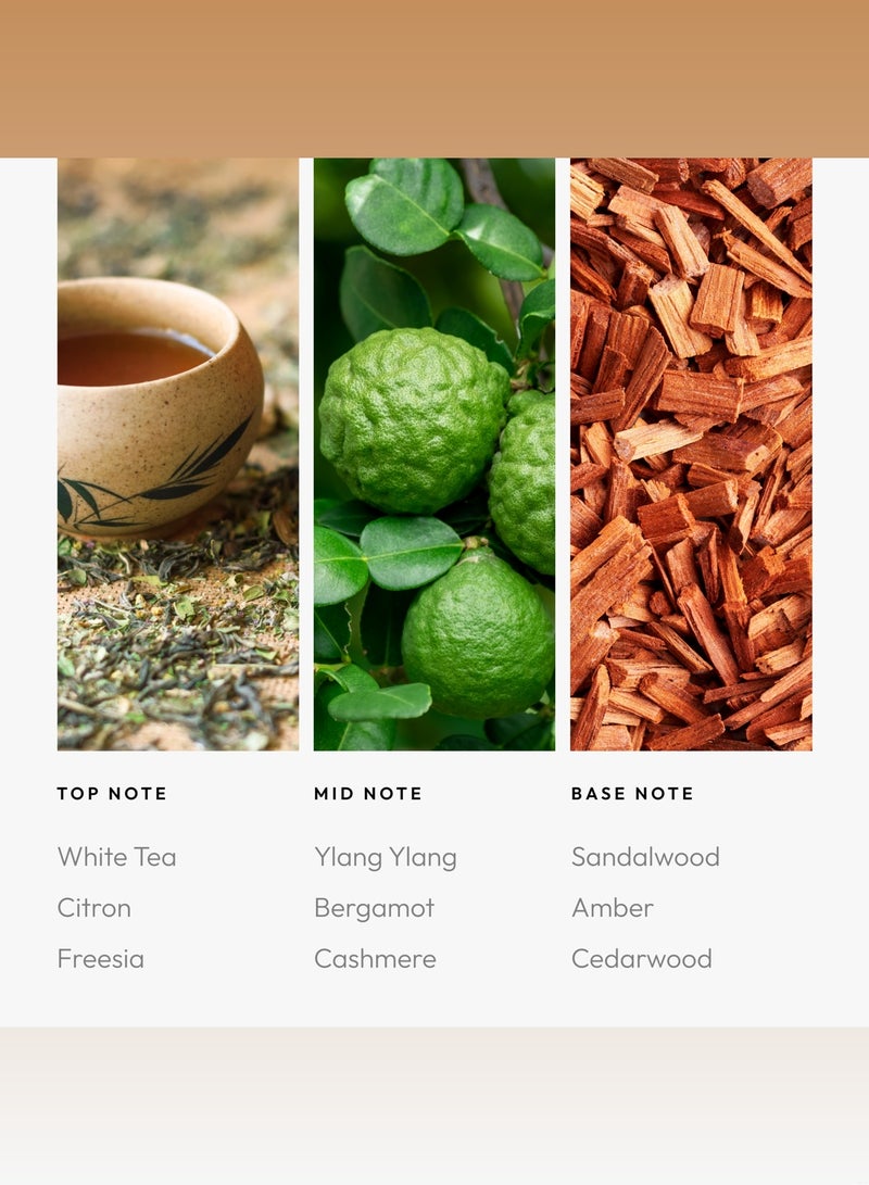AROMA360 Little White Lies Pro-Pod Oil Blend - Hotel Inspired for Luxury Essential Oil Diffusers - Aromatherapy Scent Diffuser Oil - White Tea, Thyme, and Vetiver - Image 4