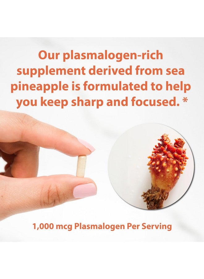 Sun Chlorella Sun Neuro Nootropic Brain Supplement - Daily Memory Concentration & Focus Supplement for Women & Men - Natural Plasmalogen Boost from Sea Pineapples - 180 Capsules - Image 5