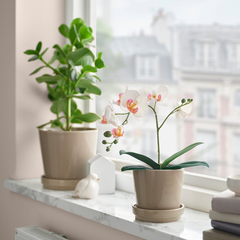 FEJKA Artificial Potted Orchid Plant, White, 9 cm Pot, 28 cm Height - Image 1