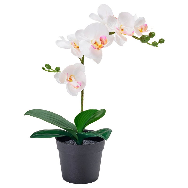 FEJKA Artificial Potted Orchid Plant, White, 9 cm Pot, 28 cm Height - Image 2