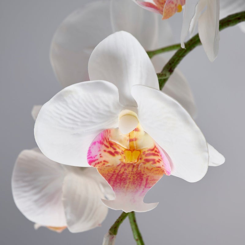 FEJKA Artificial Potted Orchid Plant, White, 9 cm Pot, 28 cm Height - Image 3