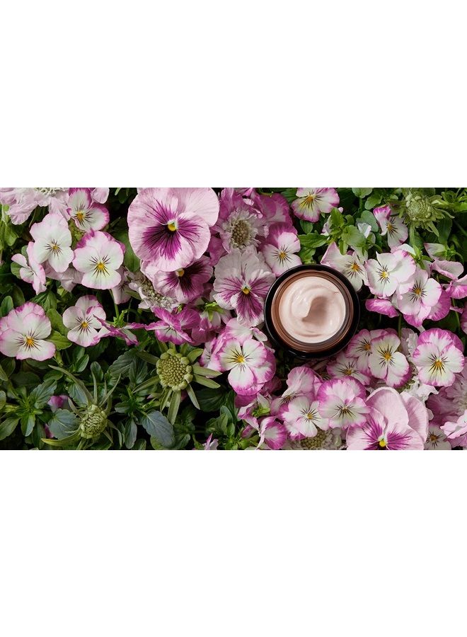 True Botanicals Natural Chebula Extreme Cream | Clean, Non-Toxic, Natural Skincare (1.7 oz | 50 ml) - Image 4
