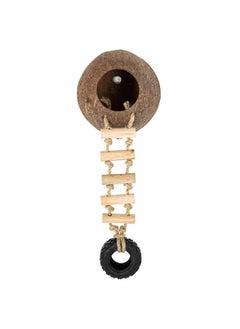 REPTIZOO REPTIZOO Hermit Crab Coconut Shell Hideout, Leopard Gecko Hide Cave with Ladder, Reptile Coco Hut Cave Habitat with Suction Cup Terrarium Décor for Crested Gecko,Hermit Crab, Lizard, Leopard Gecko  - Image 2