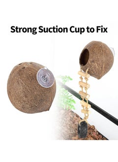 REPTIZOO REPTIZOO Hermit Crab Coconut Shell Hideout, Leopard Gecko Hide Cave with Ladder, Reptile Coco Hut Cave Habitat with Suction Cup Terrarium Décor for Crested Gecko,Hermit Crab, Lizard, Leopard Gecko  - Image 4