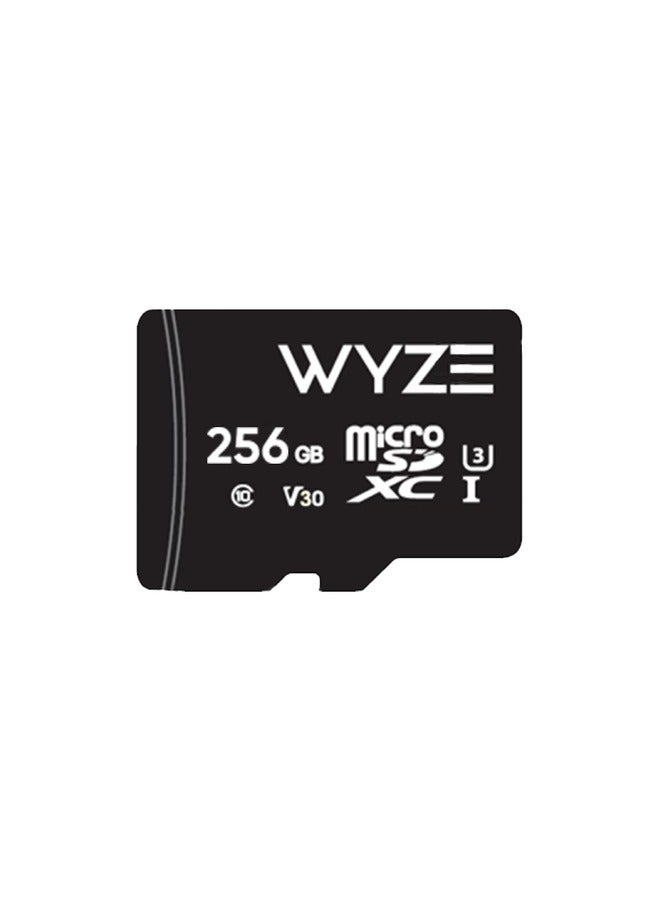 WYZE Expandable Storage 256GB Micro SDXC Card Class 10 – Black
