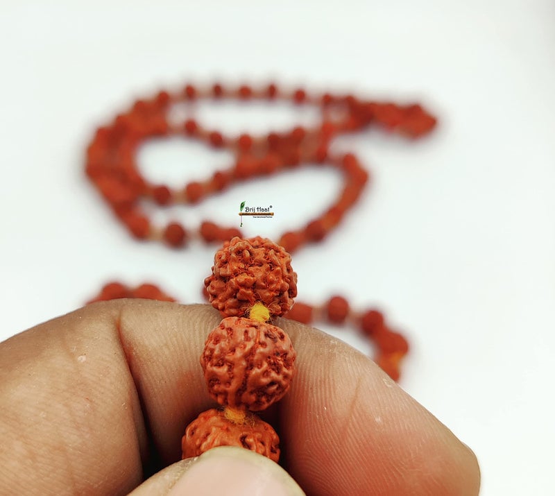 BRIJ HAAT Natural 5 Panch mukhi rudraksha jaap japa mala 108+1 Beads with jholi Bag (Rudraksha) - Image 3