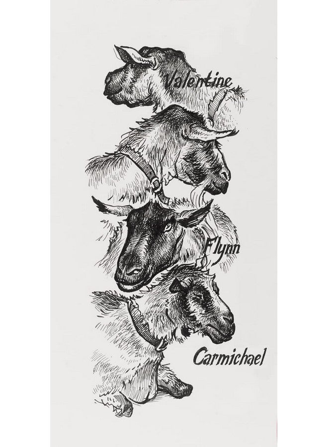 فابير كاستل مجموعة أقلام ألوان Pitt Artist - عبوة من 4 قطع، مقاسات XS، S، F، M، Fine، باللون الأسود - Image 5