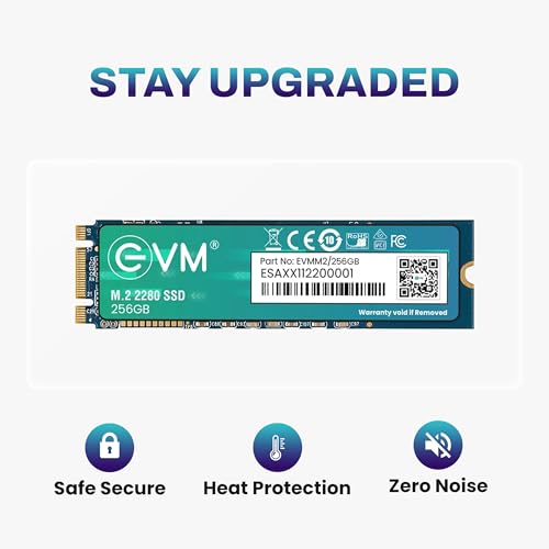 EVM 256GB M.2 SATA SSD 2280 | Internal SSD | Up to 530MB/s Read 420MB/s Write | Laptop Desktop Storage Upgrade | 5 Year Warranty (EVMM2/256GB) - Image 5
