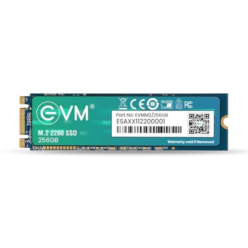 EVM 256GB M.2 SATA SSD 2280 | Internal SSD | Up to 530MB/s Read 420MB/s Write | Laptop Desktop Storage Upgrade | 5 Year Warranty (EVMM2/256GB) - Image 1