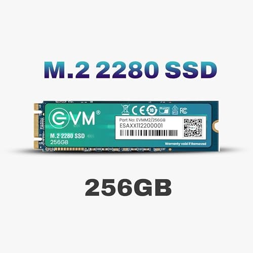 EVM 256GB M.2 SATA SSD 2280 | Internal SSD | Up to 530MB/s Read 420MB/s Write | Laptop Desktop Storage Upgrade | 5 Year Warranty (EVMM2/256GB) - Image 2