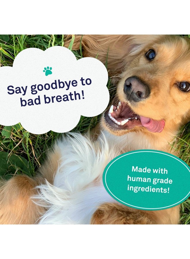 Petpost | Dental Wipes for Dogs - Bad Breath and Tooth Buildup Remover - Presoaked Pads in Natural Tooth Cleaning Solution 100 ct. - Image 2