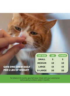 Pet Honesty Cat Hairball Support Chews, Hairball Remedy Cat Treats, Cat Furball Treatment, Supports Skin & Coat, Digestion, Cat Vitamins & Supplements & Hairball Medicine, Chicken (30Day Supply)  - Image 5