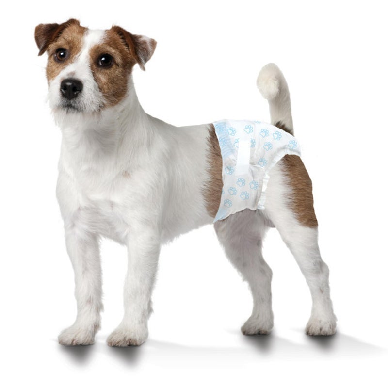 Four Paws Wee-Wee Super Absorbent Disposable Adjustable Dog Potty Training Diapers, Leak-Proof Protection for Puppies and Small Dogs, Small, 36 Count - Image 2