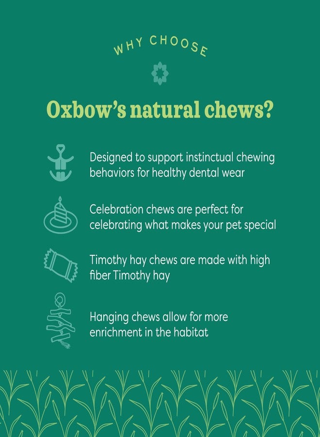 Oxbow Enriched Life Ox Blocks, Natural Wood Chew Toy for Rabbits, Guinea Pigs, and Hamsters, Promotes Dental Health and Foraging, Safe Enrichment Accessory, Small Pet Chew Toy - Image 5
