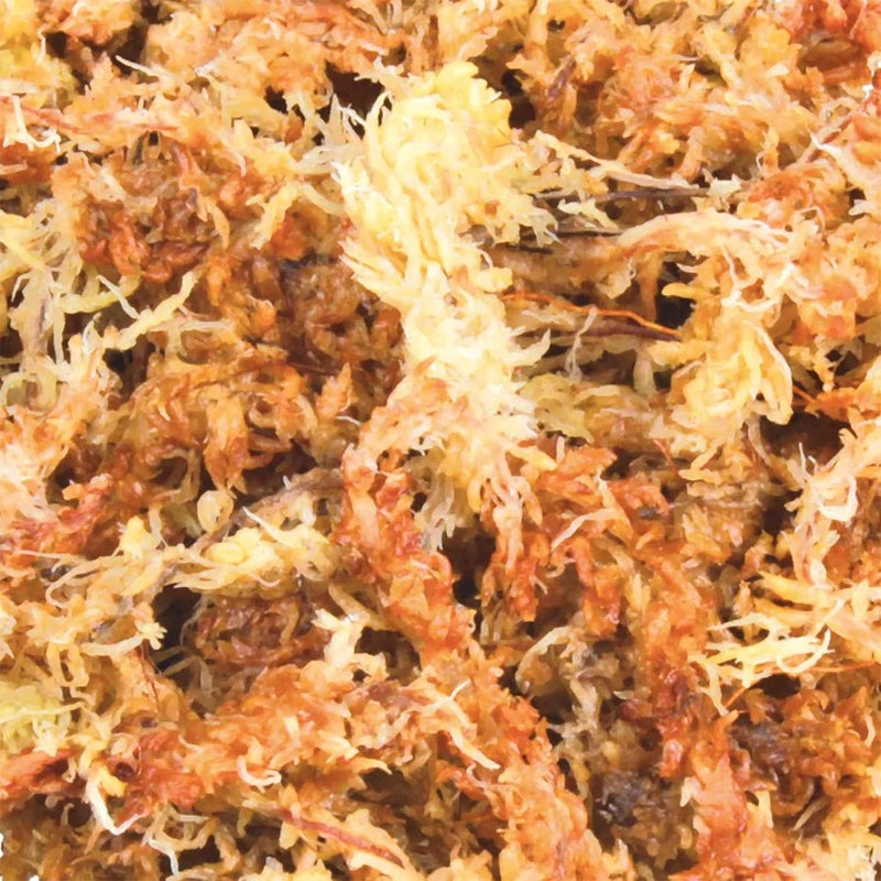 Trixie Sphagnum Moss for Terrariums - Image 3