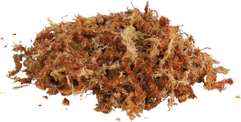 Trixie Sphagnum Moss for Terrariums - Image 2