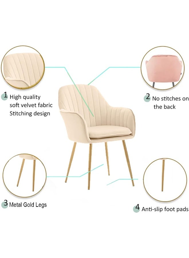 Poppins Home Poppins HOME Modern Nordic Design Cozy Light Luxury Simple And Durable Velvet Dining Chairs in Gold Leg (Pink) - Image 4