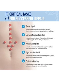 Liver Medic Leaky Gut Repair (60 Capsules) – Glutamine Capsules w/ Slippery Elm and Marshmallow Root - Leaky Gut Repair Supplements for IBS relief, Bloating, Heartburn, & Gut Health – Vegetarian Capsules  - Image 3
